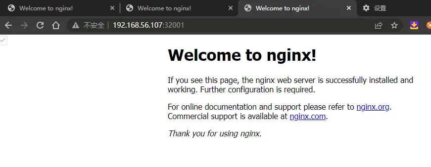 .107 Nginx